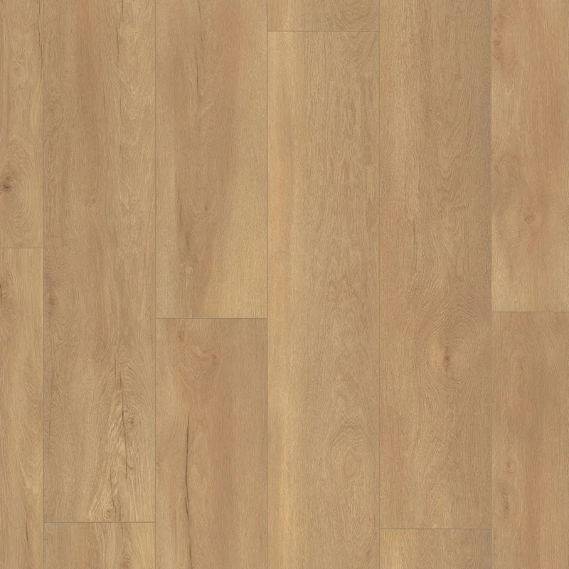 hellofloor202609201411592984352