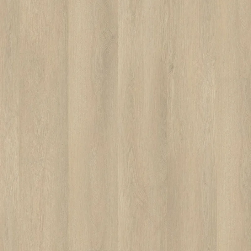 hellofloor202609201413062984543