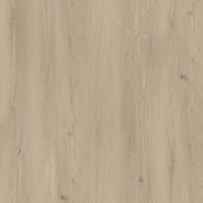 hellofloor202609201413062984545