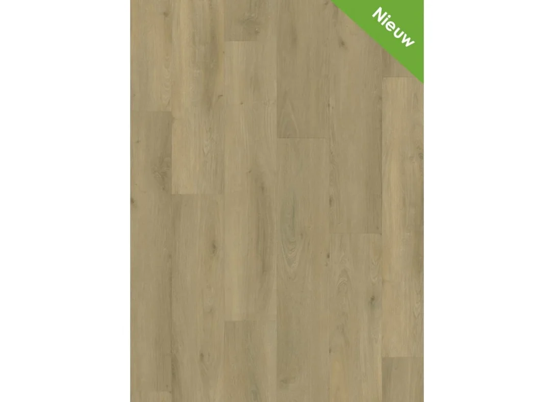 hellofloor202609201423442986413