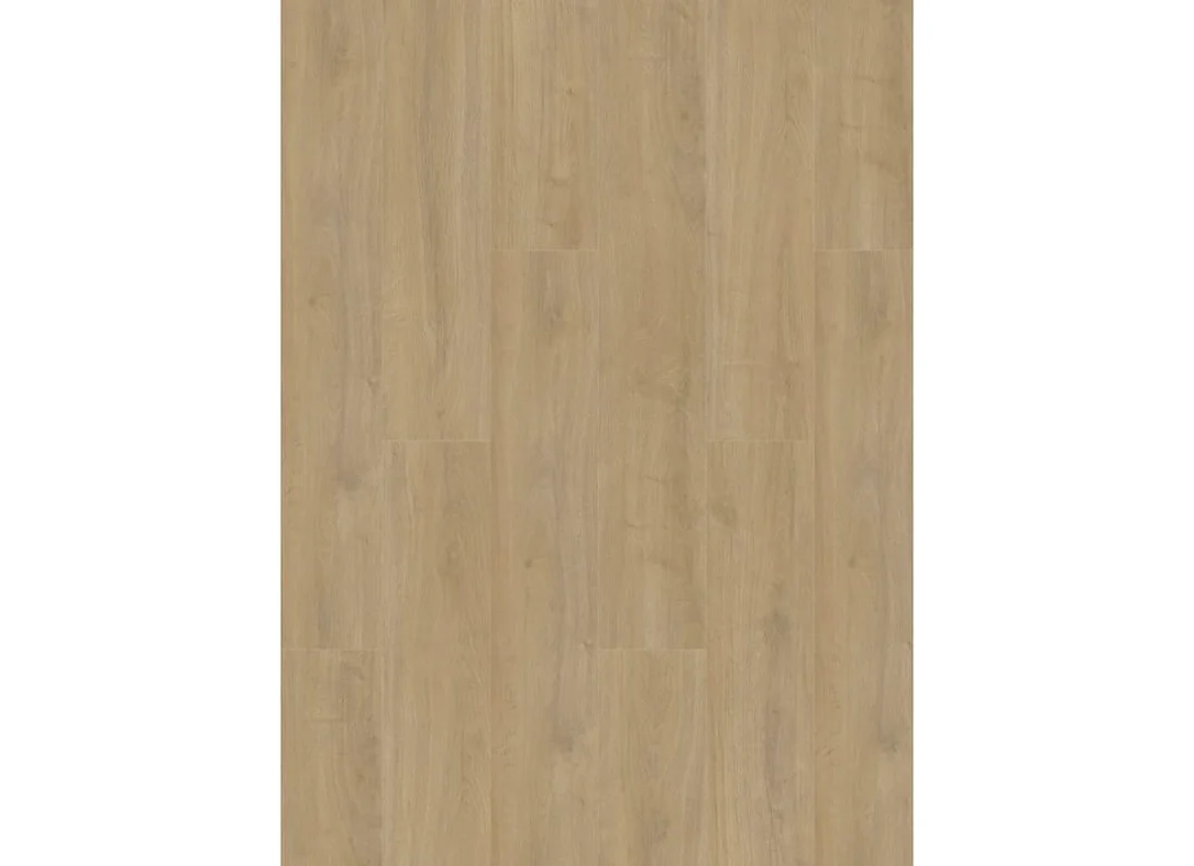 hellofloor202609201426382986934