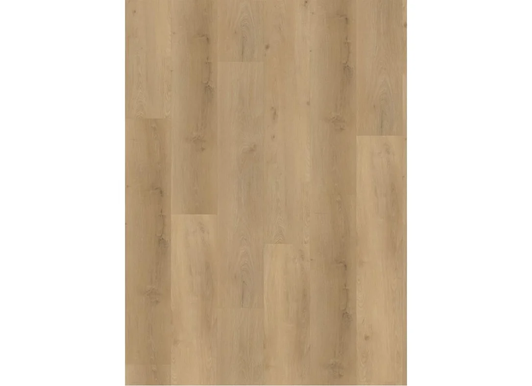 hellofloor202609201428332987276